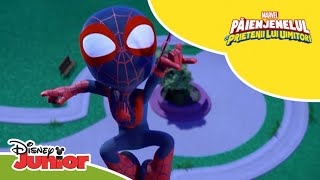 🦸 Super momentele lui Miles  Păienjenelul Marvel și prietenii lui uimitori  Disney Junior România [upl. by Vincents]