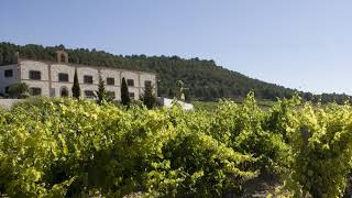 Emisión en directo de Bodegas Familiares Matarromera [upl. by Lexy302]