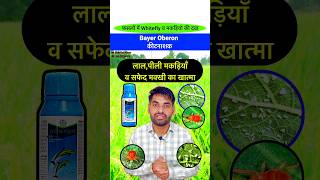 👌मकड़ियों व सफेद मक्खी की दवा  Bayer Oberon Insecticide insecticide pestcontrol shorts bayer [upl. by Linnette191]