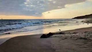 Lone Piper and Sailboat at Crystal Cove CA [upl. by Conners]