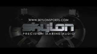 Introducing The Skylon Vector 8 Wakeboard Tower Speakers [upl. by Atalya]