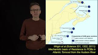 Lecture 09 concept 08 Evolution can happen fast  tomcod PCB resistance [upl. by Desiree319]