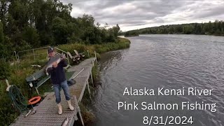 Alaska Kenai River Silver Salmon Fishing [upl. by Nodnarb903]