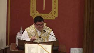 Homily Solemnity of All Saints  Fr Kappes [upl. by Alul]