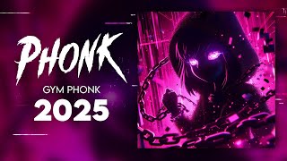 THE BEST TIKTOK PHONK 2024 ※ AGGRESSIVE DRIFT PHONK ※ Фонк 2024 [upl. by Novihc]