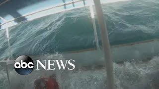 Watch Moment Whale Capsizes Fishing Boat off New Hampshire [upl. by Feingold532]