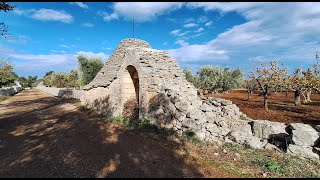 Trullo da Ristrutturare con uliveto il tuo progetto in Puglia [upl. by Ravel]