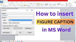 How to insert text caption on figure  how to insert figure caption in MS word  Insert Caption [upl. by Oneg]