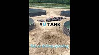 YUTANK 25 Meter PP plastic Fish Tank For Saltwater Aquaculture fishtank aquaculture marinefish [upl. by Ecirp359]