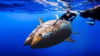 300kg MONSTER im Mittelmeer gefangen [upl. by Sharity]