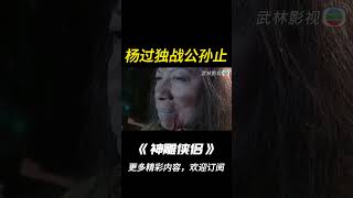 【神鵰俠侶1995】公孫止決戰楊過！shorts神鵰俠侶古天乐李若彤杨过小龙女 [upl. by Llewon723]