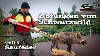 Abfangen von Schwarzwild  Teil 5 Saufeder [upl. by Divadnhoj536]