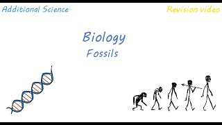 B2 Fossils Revision [upl. by Nissy]