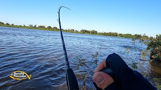 PESCAR NO PANTANAL É UMA EXPERIENCIA ÚNICA [upl. by Atnim]