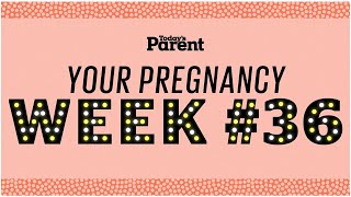 Your pregnancy 36 weeks [upl. by Rhea565]