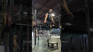 Staggered Step Arm Swing CMJ jump jumptraining jumps [upl. by Niles]