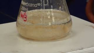 Synthesis of Acetanilide [upl. by Rumney631]