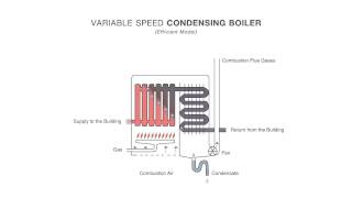 How an Efficient Condensing Boiler Works [upl. by Niveek]