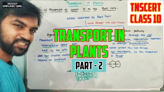 Transport in Plants  Part 2  TNSCERT Class 10 [upl. by Gingras]