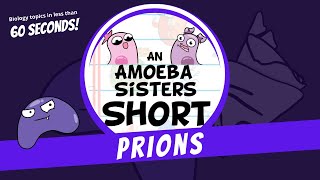 Prions  Amoeba Sisters Shorts [upl. by Lletniuq]