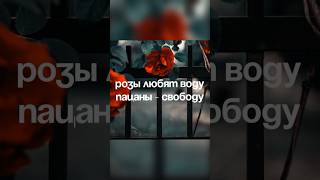 Как найти название шрифта за пару кликов фотошоп photoshop fonts шрифты [upl. by Ylebmik]