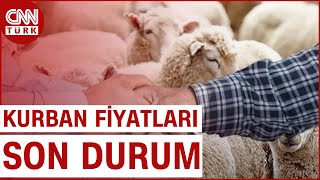 Bayrama 1 Ay Kala Kurban Fiyatları Ne Durumda Kırmızı Etteki Düşüş Kurbanlıkları Nasıl Etkiledi [upl. by Arved]