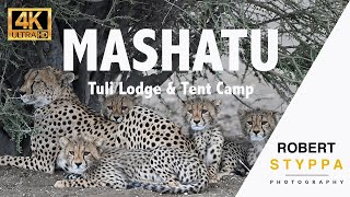 Discover Mashatu Game Reserve Tuli Lodge Tented Camp amp Lala Limpopo Hide in Botswana [upl. by Dlaniger]