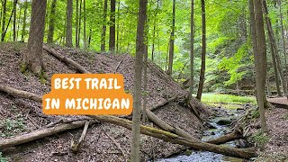 Hike the Beech Maple Trail at the Kalamazoo Nature Center in Michigan [upl. by Odlavso]