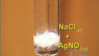 Double Displacement Reaction of AgNO3 and NaCl [upl. by Geno904]