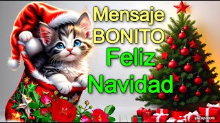 🌲Mensajes Cortos de NAVIDAD 2023🦋 Frases de Navidad para dedicar a la Familia y Amigos [upl. by Melitta]