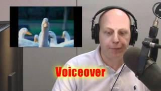 New Aflac Duck Commercial Voice Auditions  Gilbert Gottfried Fired [upl. by Adoh]