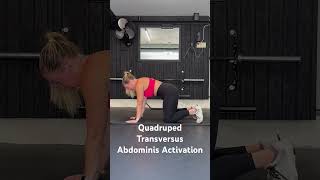 Quadruped Transversus Abdominis Activation [upl. by Veronique963]