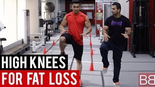 HIGH KNEES for FAT LOSS Hindi  Punjabi [upl. by Jurdi]