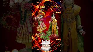 TulsiVivahStatustulsivivah newwhatsappstatus radhakrishna LeJayengeLeJayengeDilVale [upl. by Yeniffit309]