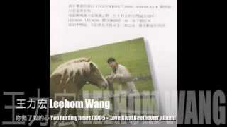 Leehom Wang  Ni Shang Le Wo De Xin You Hurt My Heart 1995 [upl. by Nioe]