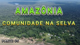 COMUNIDADE SFRANCISCO DA MANGUEIRA  AMAZONAS  VÍDEO  05 [upl. by Tindall]