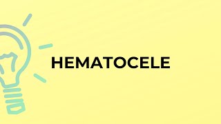 What is the meaning of the word HEMATOCELE [upl. by Arvy]