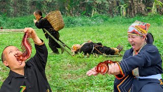 Dwarf Family Harvesting Wild Bananas During Attack Of Venomous Centipedes  Survival in the wild [upl. by Grey626]