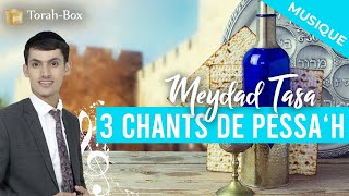 3 Chants de Pessah avec Meydad Tasa amp TorahBox [upl. by Almallah865]