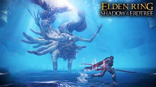 Elden Ring Shadow of the Erdtree  Metyr Mother Of Fingers Boss Fight 4K No Mimic [upl. by Ailefo]