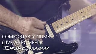 David Gilmour  Comfortably Numb Live At Pompeii [upl. by Glennie]