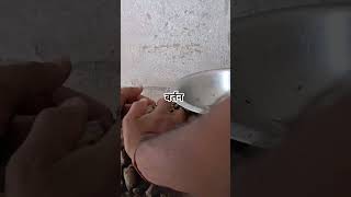 How to extract clay from soil  Pottery clay making at home [upl. by Rammaj]