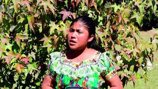 Solista Santa Griselda Quino Ajqui Video Clip Vol 1 Canto en el dolor [upl. by Perl]