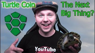 TurtleCoin The Next Big Thing  Crypto Updates and More [upl. by Laeno434]