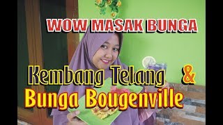 MASAK YUU BUNGA TELANG DAN BOUGENVILLE MENJADI MAKANAN [upl. by Salas729]