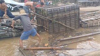 Luar biasa menakjubkan budidaya ribuan ikan toman dikeramba kayu panen ikan toman dikeramba kayu [upl. by Petronella92]