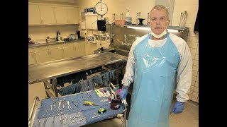 Real Stories  Death Unexplained  UK Coroner Documentary  Contains disturbing Scenes [upl. by Clie]