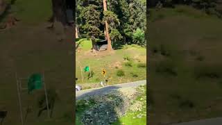 Natural view kashmir kashmirtourism mountain youtubeshorts [upl. by Anatnahs387]