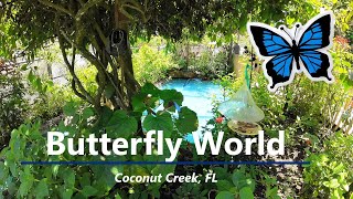 Butterfly World 2023 [upl. by Hassadah198]