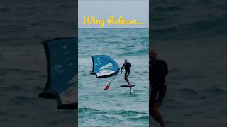 Surf Foiling with a Wing Anchor 🐬⛱️ 🌊⚓️ 🏄🏽‍♂️ wingfoil wingfoiling surf surfing downwind [upl. by Amalberga]